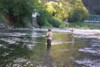 flyfishing in Sierra County