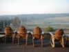 Birding paradise near Klamath Falls