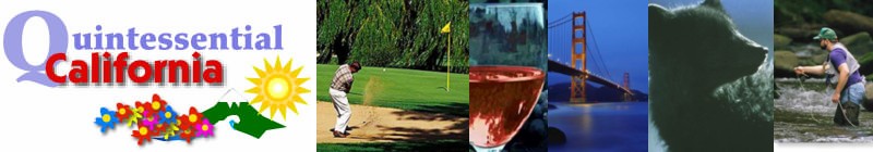 Quintessential California Tours Logo